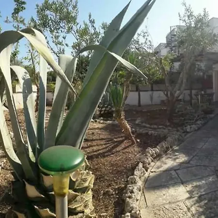 A 度假居 *